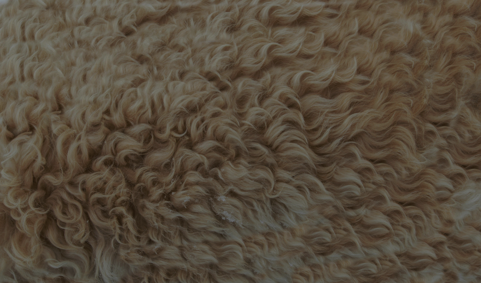 Electricidad & Generacion de Energia